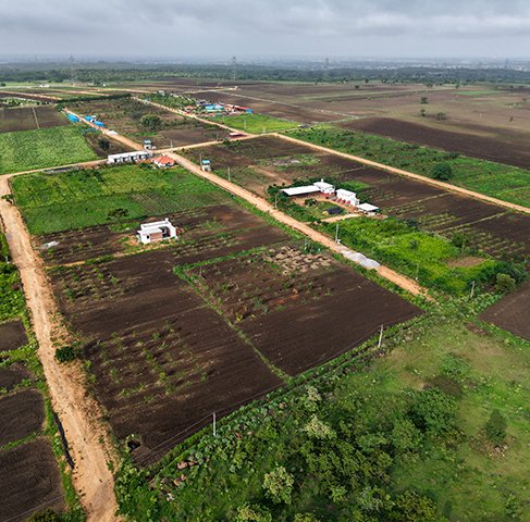 Agricultural Land for Sale