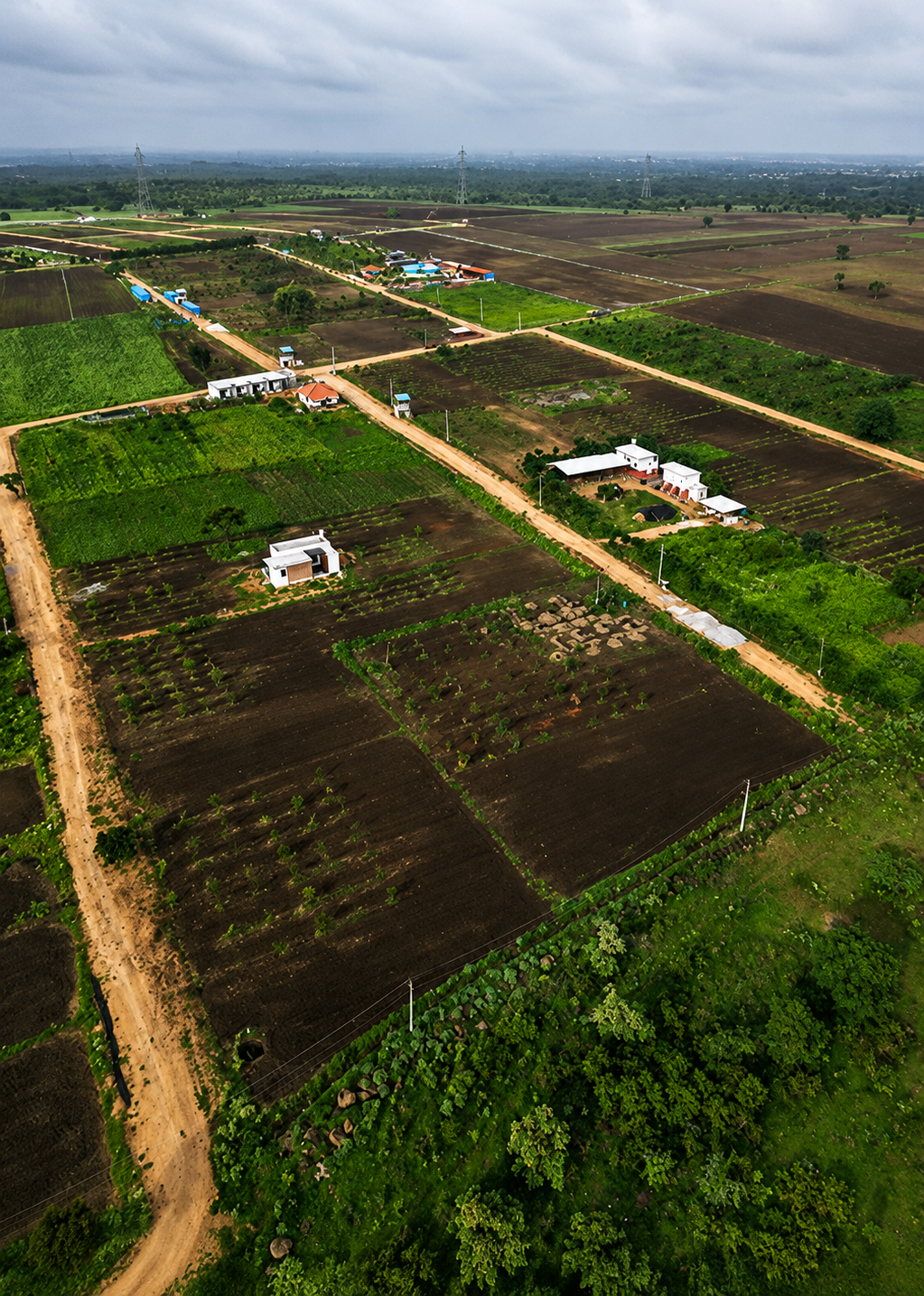 Agricultural Lands for Sale